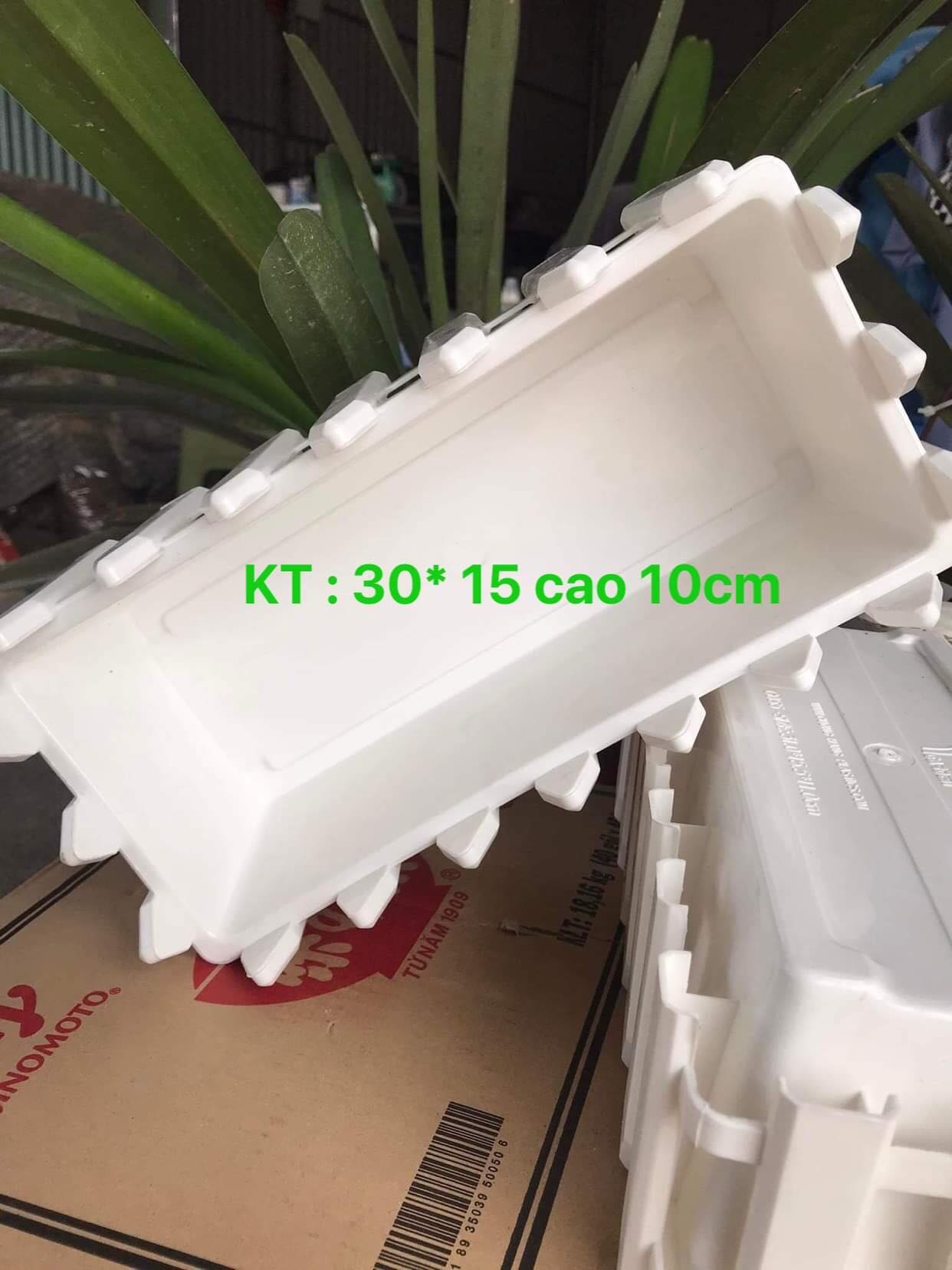 Chậu Trồng Cây Hàng Rào Size 30 x 15x10 cm - Hàng Loại 1 Dày, Bóng Đẹp
