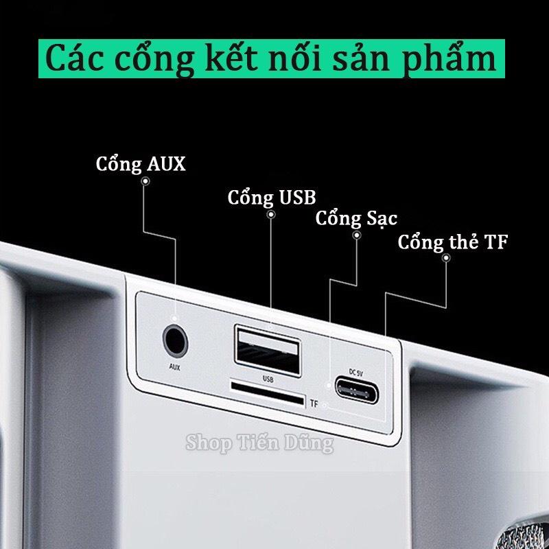 Loa karaoke YS-219 có 2 micro không dây kiêm Bluetooth Thẻ nhớ TF USB cổng AUX 3.5 nhỏ gọn âm thanh chất lượng