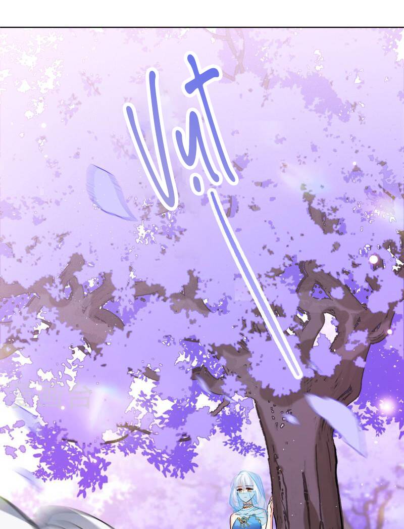 cô ấy đến rồi, xin nằm xuống! chapter 242 32