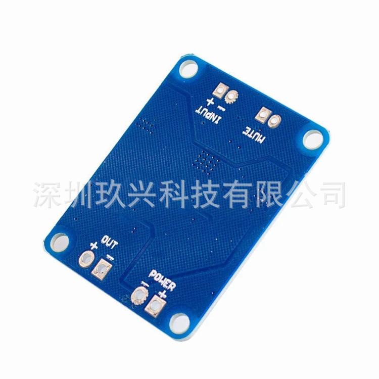 Đặc biệt cần kéo bảng khuếch đại âm thanh mô-đun mono kỹ thuật số xe bảng mạch khuếch đại công suất đầu ra 60W