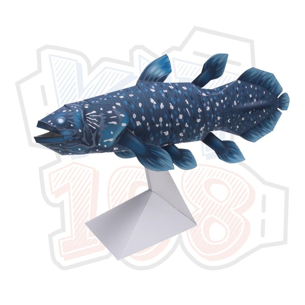 Mô hình giấy động vật Cá vây tay