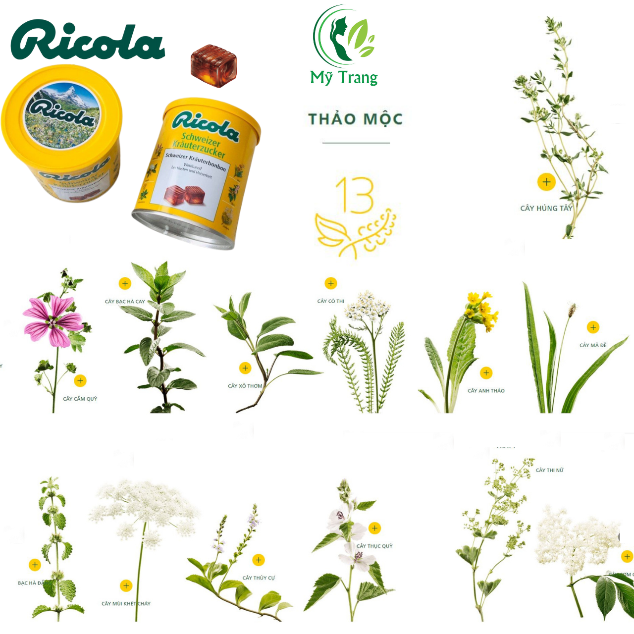 Kẹo Ngậm Đau Họng Ricola Shweizer Krauterzucker Chứa Hỗn Hợp 13 Loại Thảo Mộc Đem Đến Cảm Giác Dịu Nhẹ Và Thơm Mát Cho Vòm Miệng Và Cổ Họng - Massel Official