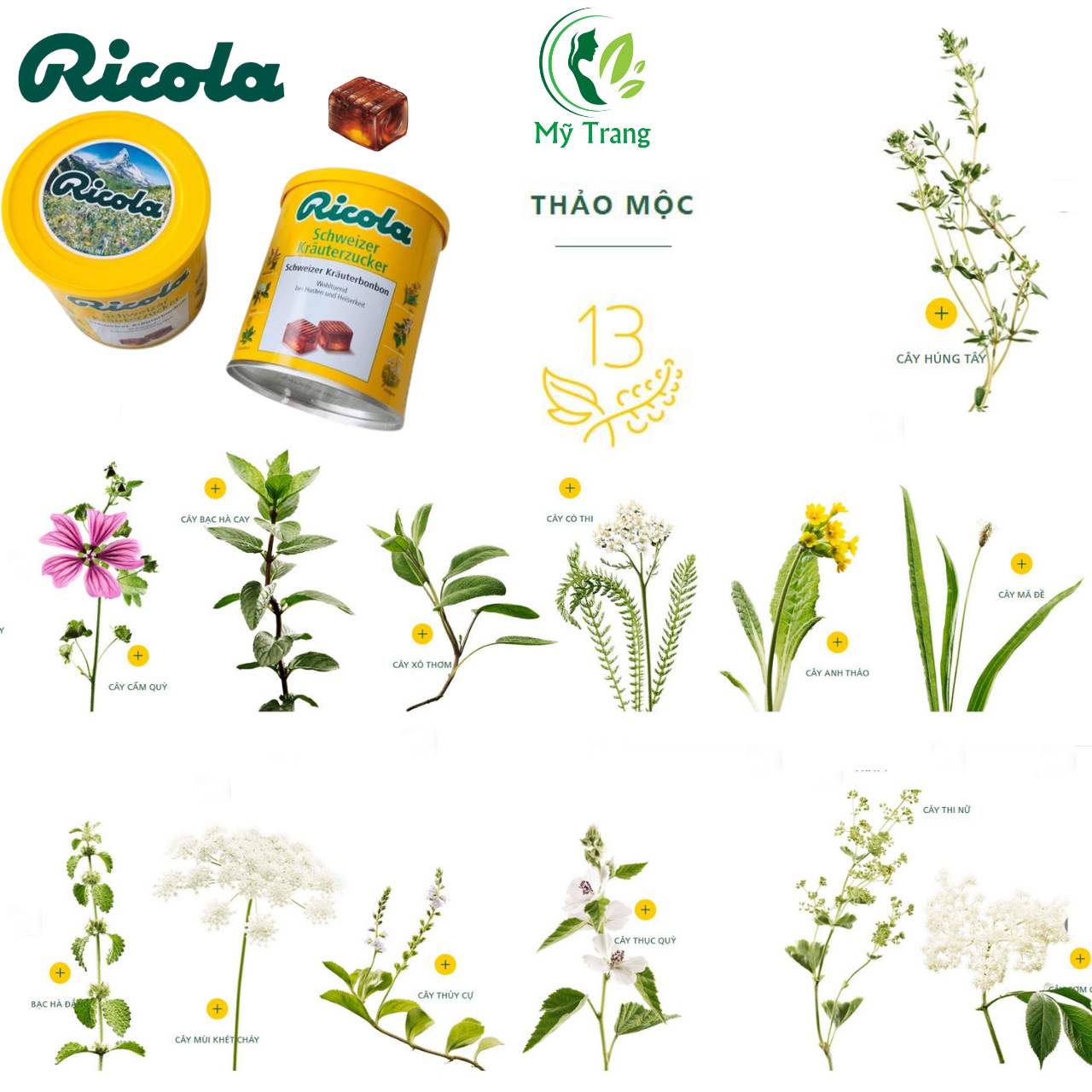 Kẹo Ngậm Đau Họng Ricola Shweizer Krauterzucker Chứa Hỗn Hợp 13 Loại Thảo Mộc Đem Đến Cảm Giác Dịu Nhẹ Và Thơm Mát Cho Vòm Miệng Và Cổ Họng - Massel Official