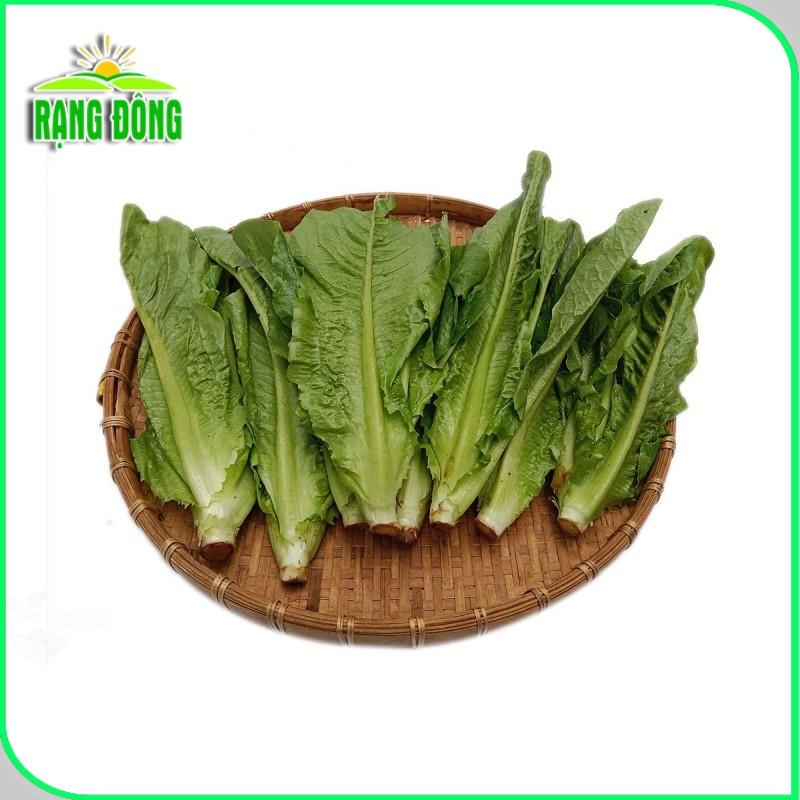 Hạt giống Xà Lách Romaine (2g~1000 hạt) chịu nhiệt tốt, giàu dinh dưỡng, trồng quanh năm - Hạt giống Rạng Đông