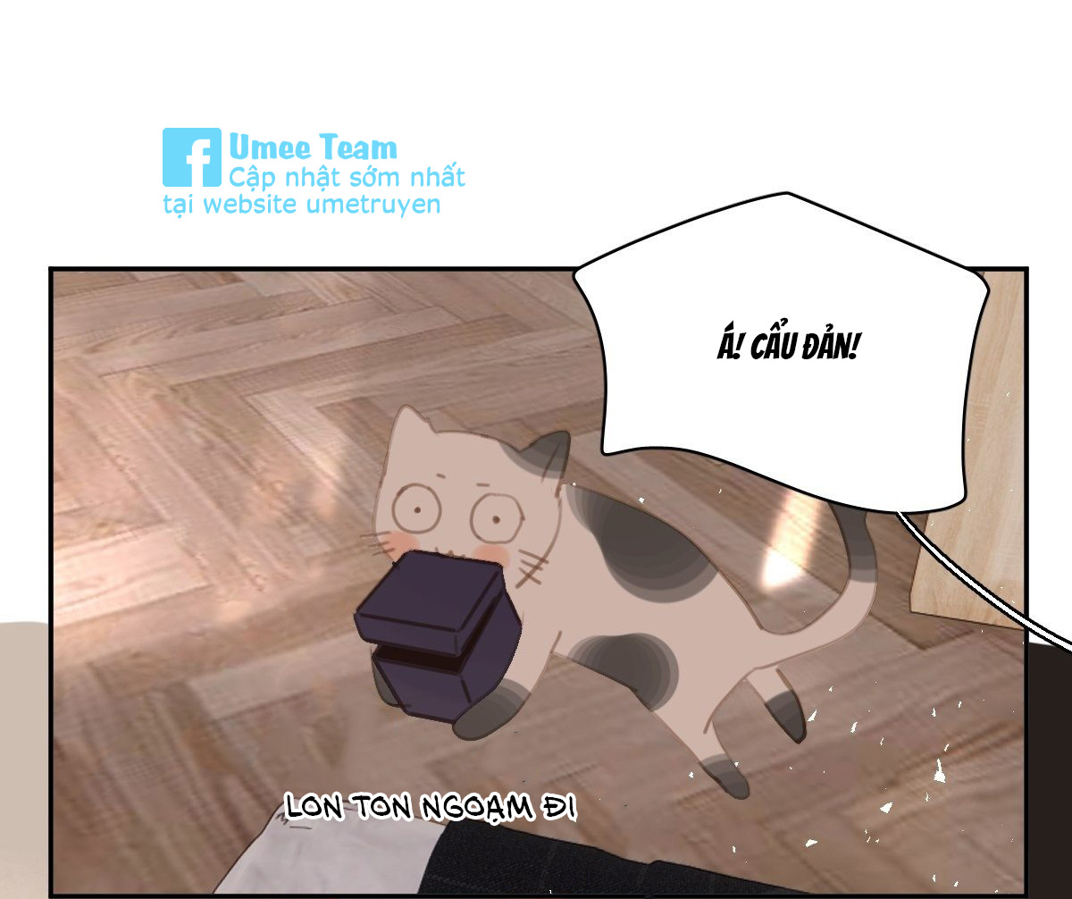 đêm đầy sao nói với em chapter 56 25