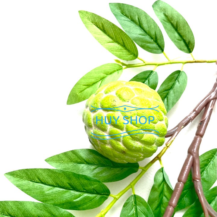 Cành Trái Mãng Cầu Ta  nhân tạo trang trí nhà cửa