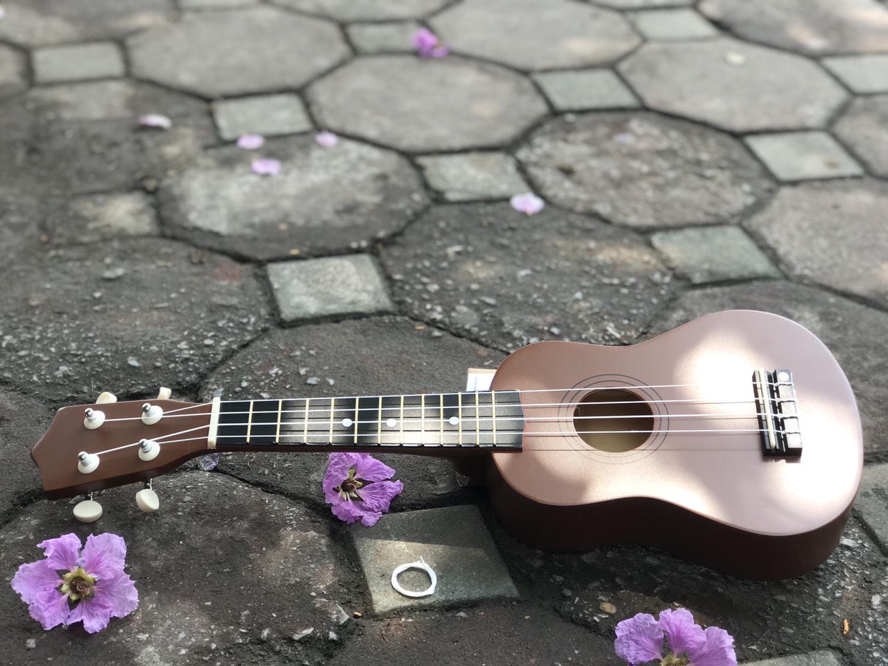 Đàn Ukulele Âm thanh chuẩn SolG