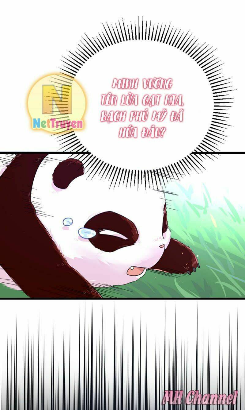 thiên thần gấu trúc muốn được ôm chapter 3 13