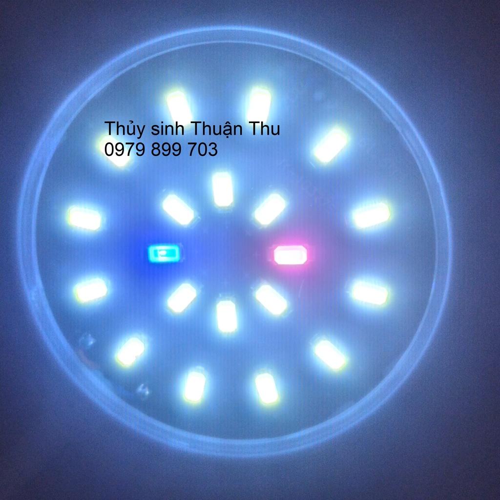 Đèn led kẹp hồ cá cảnh mini KaoKui KK JY 25