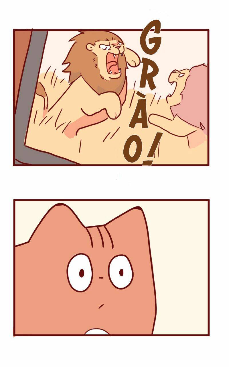 saphie: chú mèo một mắt chapter 14 9