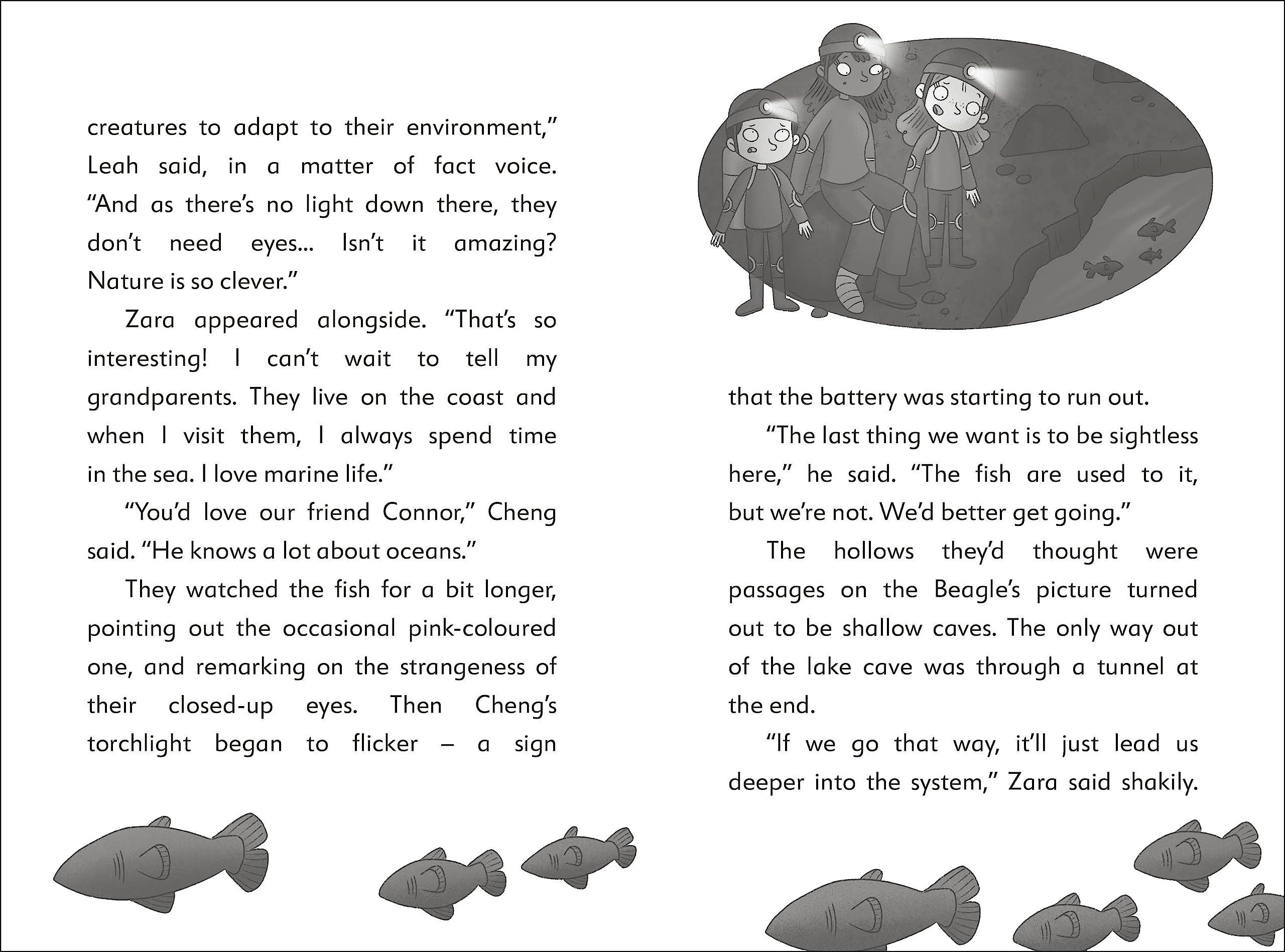 Sách ngoại văn: The Secret Explorers And The Cave Crisis