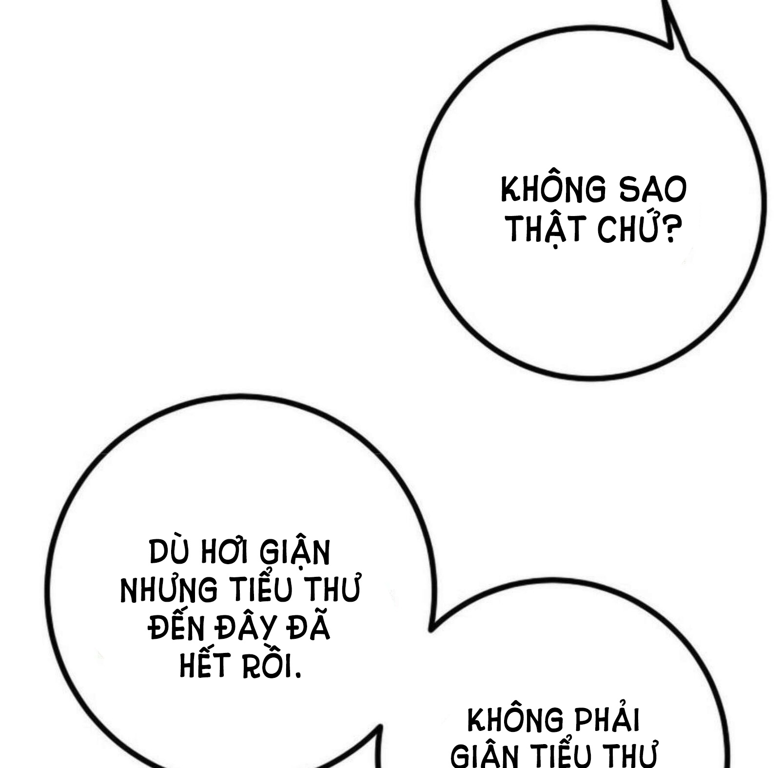 tôi là tiểu thư của gia đình này chapter 20 68