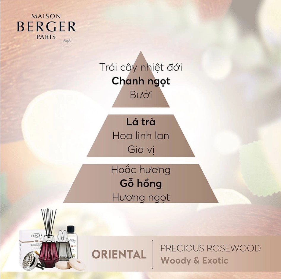 Maison Berger - Tinh dầu đèn xông hương Precious Rosewood - 500ml