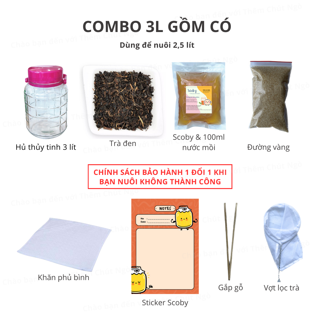 Combo 3L đầy đủ nuôi scoby làm trà kombucha (dùng để nuôi 2,5 lít)