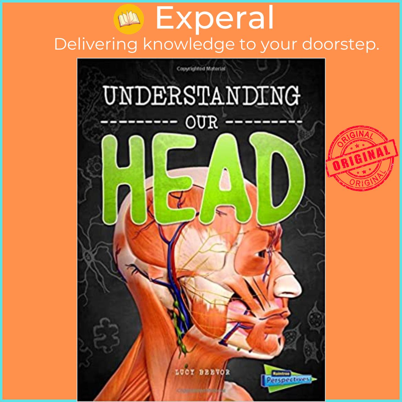 Sách - Understanding Our Head by Lucy Beevor