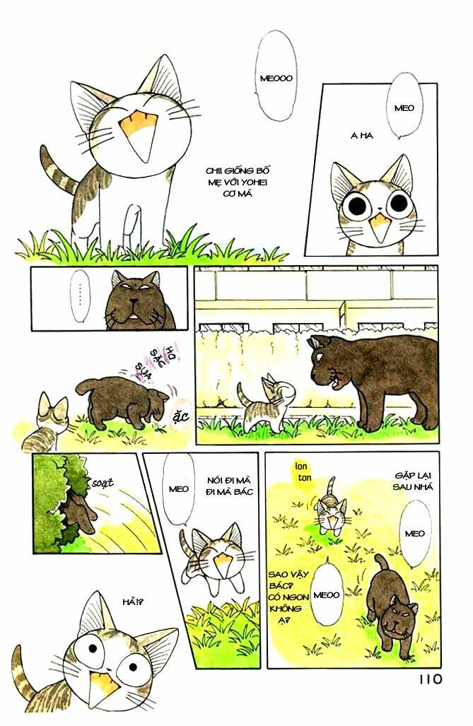 chi's sweet home chapter 34 4