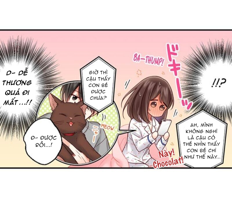 họ chắc chắn đã làm chuyện đó chapter 58.1 11