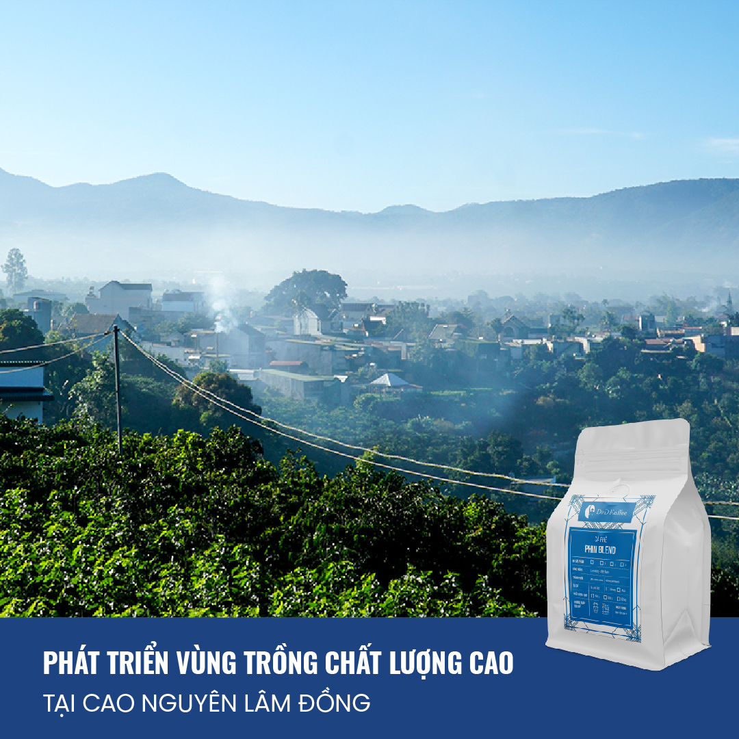 Cà phê Phin Blend, Cà phê nguyên chất 100% rang mộc, gói 250gr, D&amp;D Kaffee