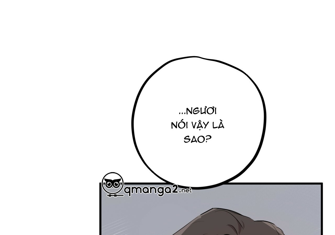 đàn thỏ của habibi chapter 21 253