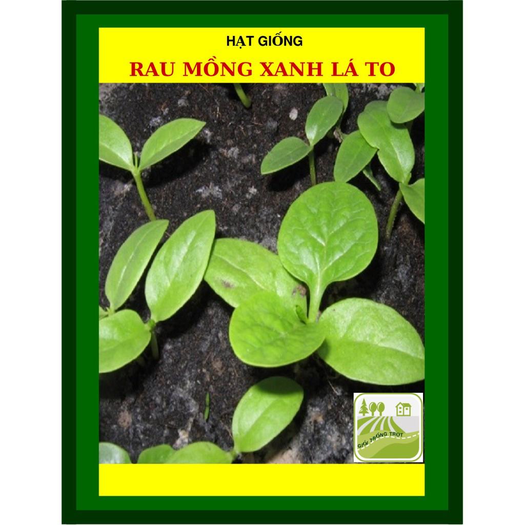 Gói 50 Gram Hạt Mồng Tơi Lá Xanh Rạng Đông - Shop Hạt Giống Ba Miền Chịu Nhiệt