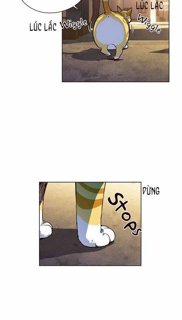 biến thân thành mèo chapter 13 5