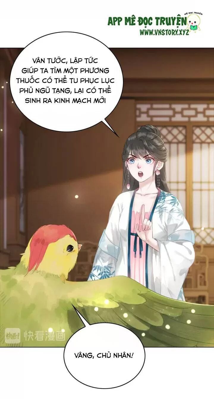 cực phẩm phế vật tiểu thư chapter 104 41