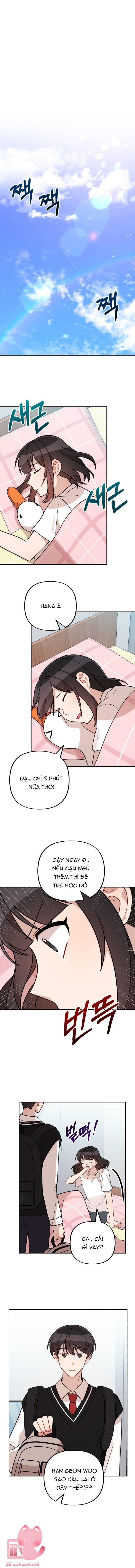 cú đấm tình yêu chapter 22 5