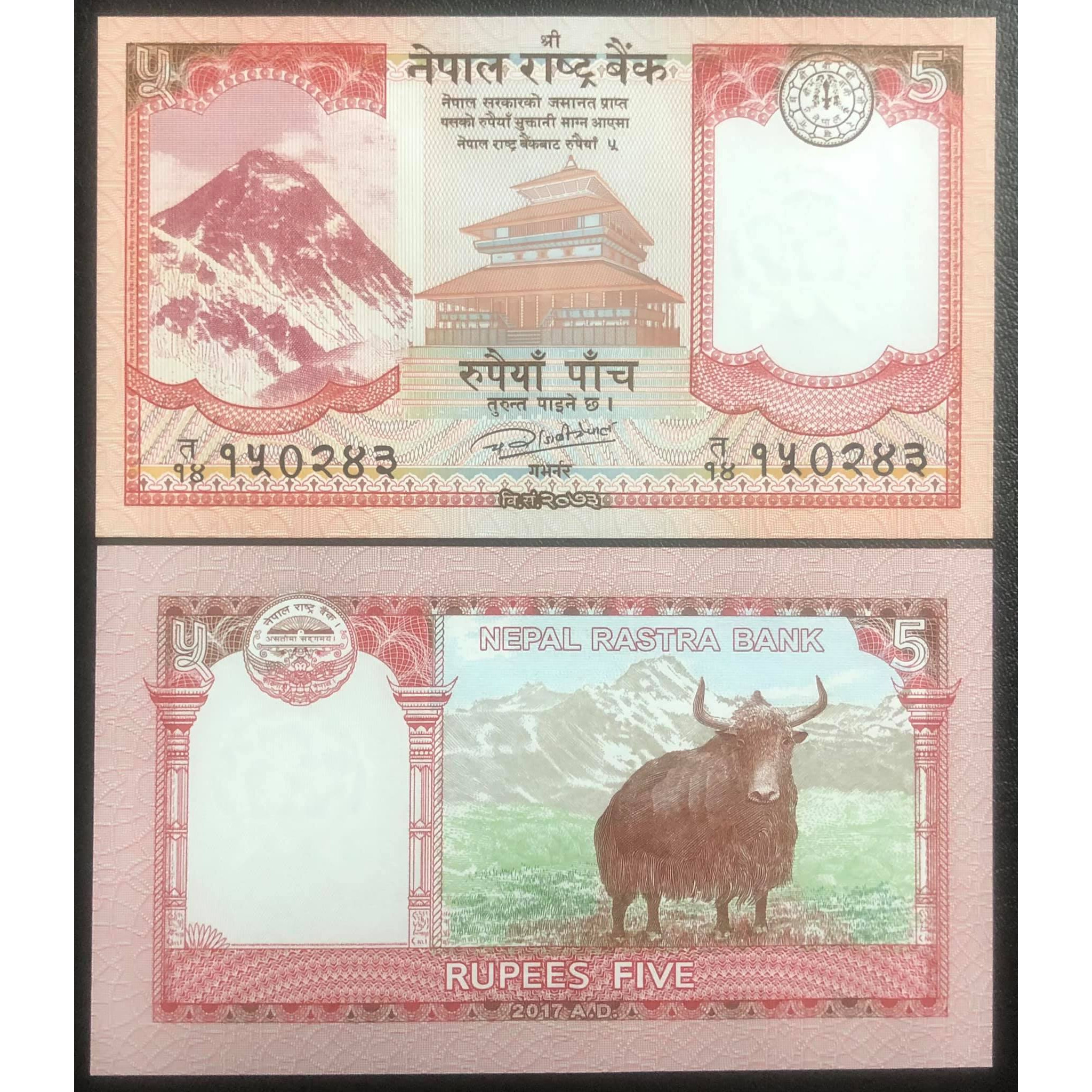 Tờ tiền con Trâu của Nepal 5 rupees, tuổi Sửu sưu tầm