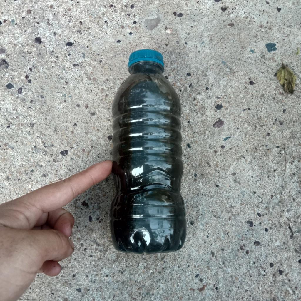 Phân Đạm Cá-Ốc Giúp Cây Sinh Trưởng Mạnh