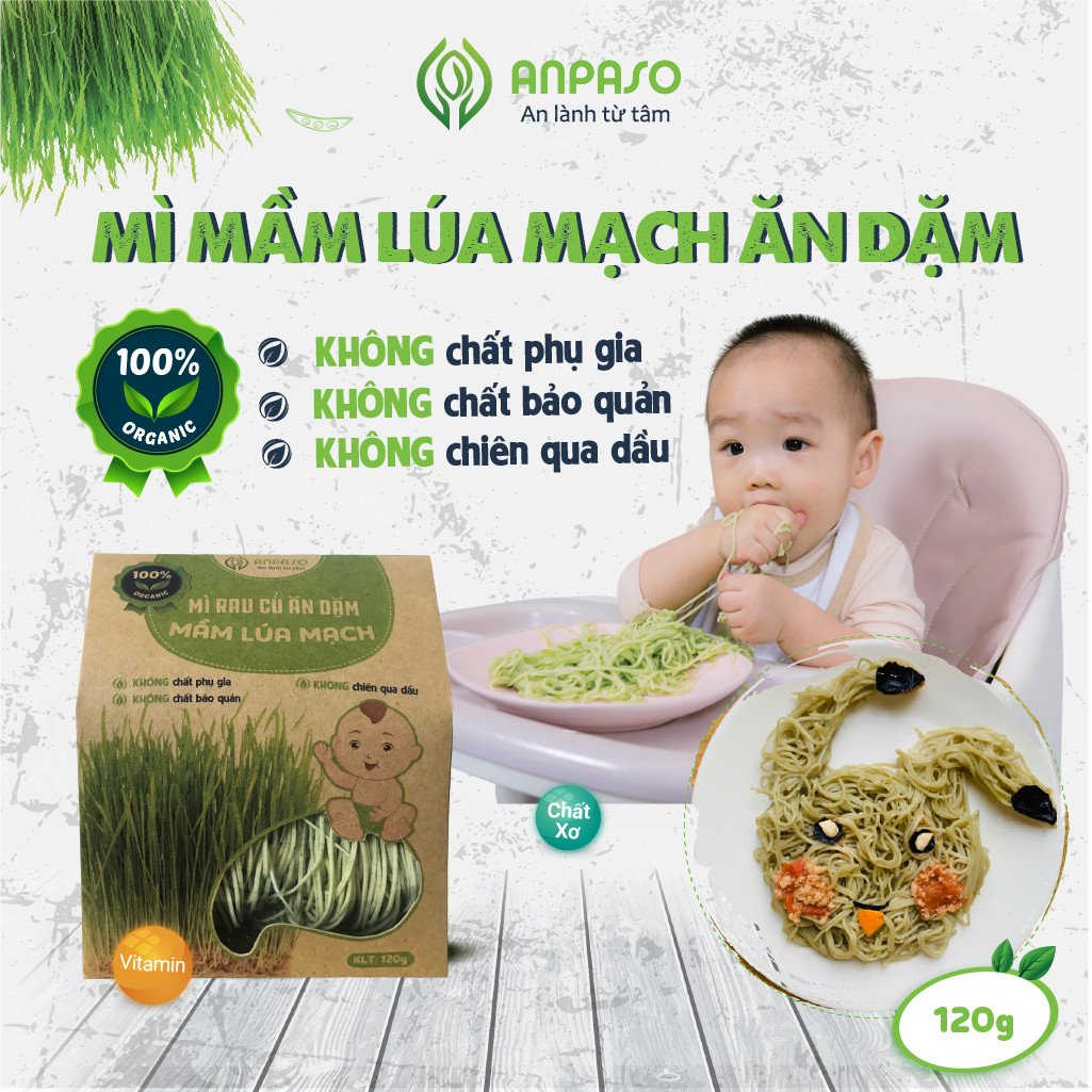 Mì Rau Củ Ăn Dặm Mầm Lúa Mạch Organic Anpaso 120g