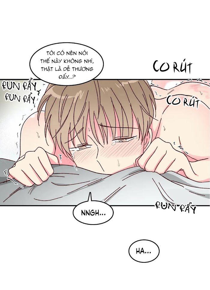 món tráng miệng của sếp tổng chapter 14 31