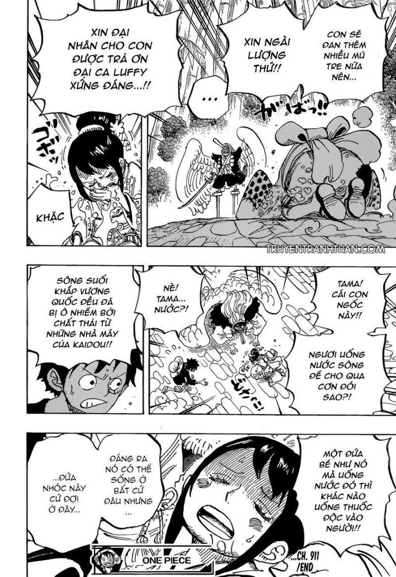 đảo hải tặc - one piece chapter 911 16