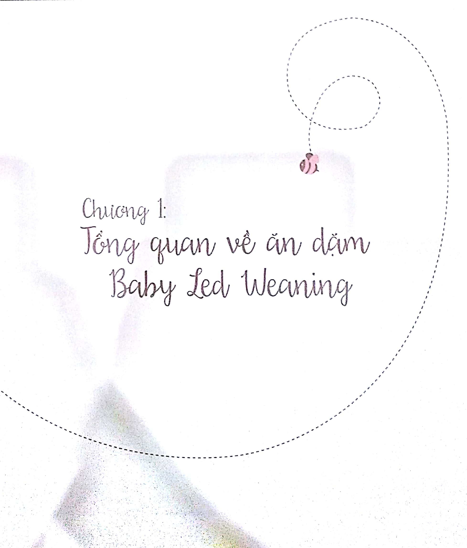 Ăn Dặm Không Phải Là Cuộc Chiến