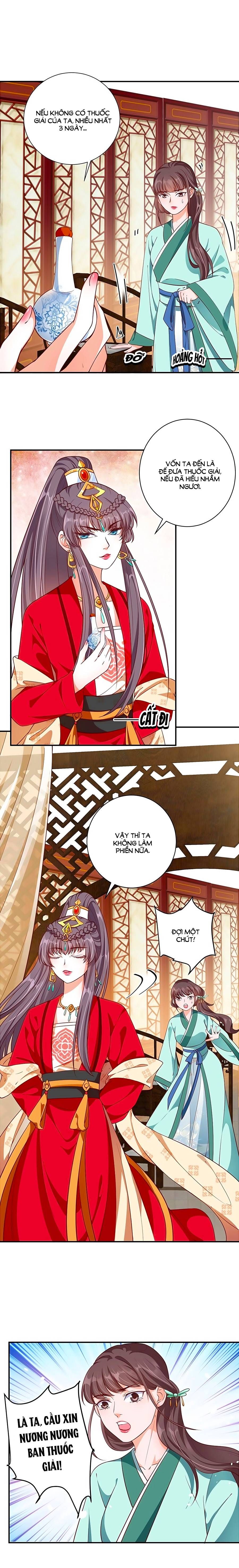 thịnh thế lê hoa điện chapter 52 7