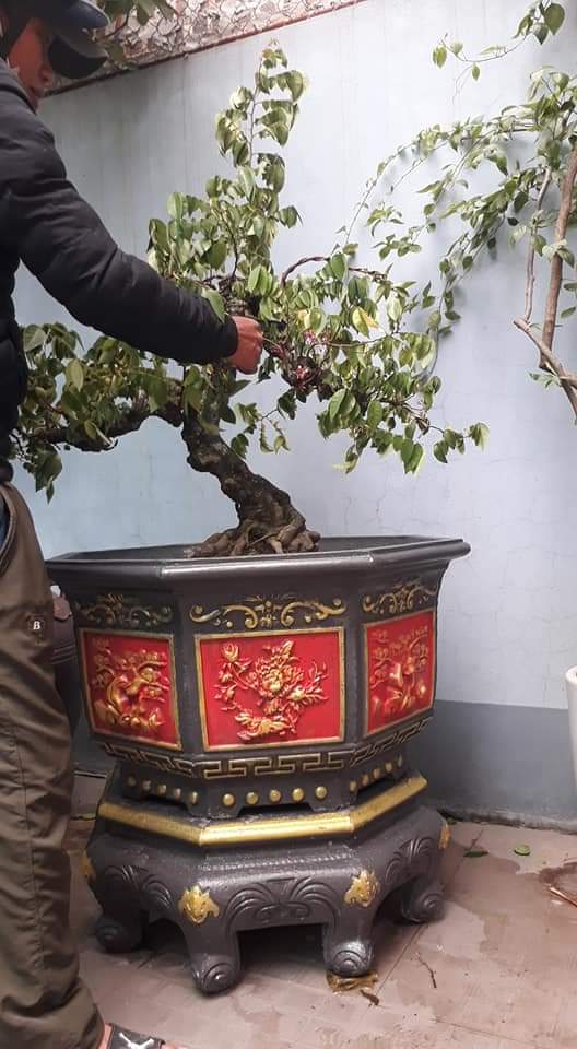 Khuôn đổ chậu bát giác rộng 1m cao 55cm có lòng trong nhựa ABS không kèm chân
