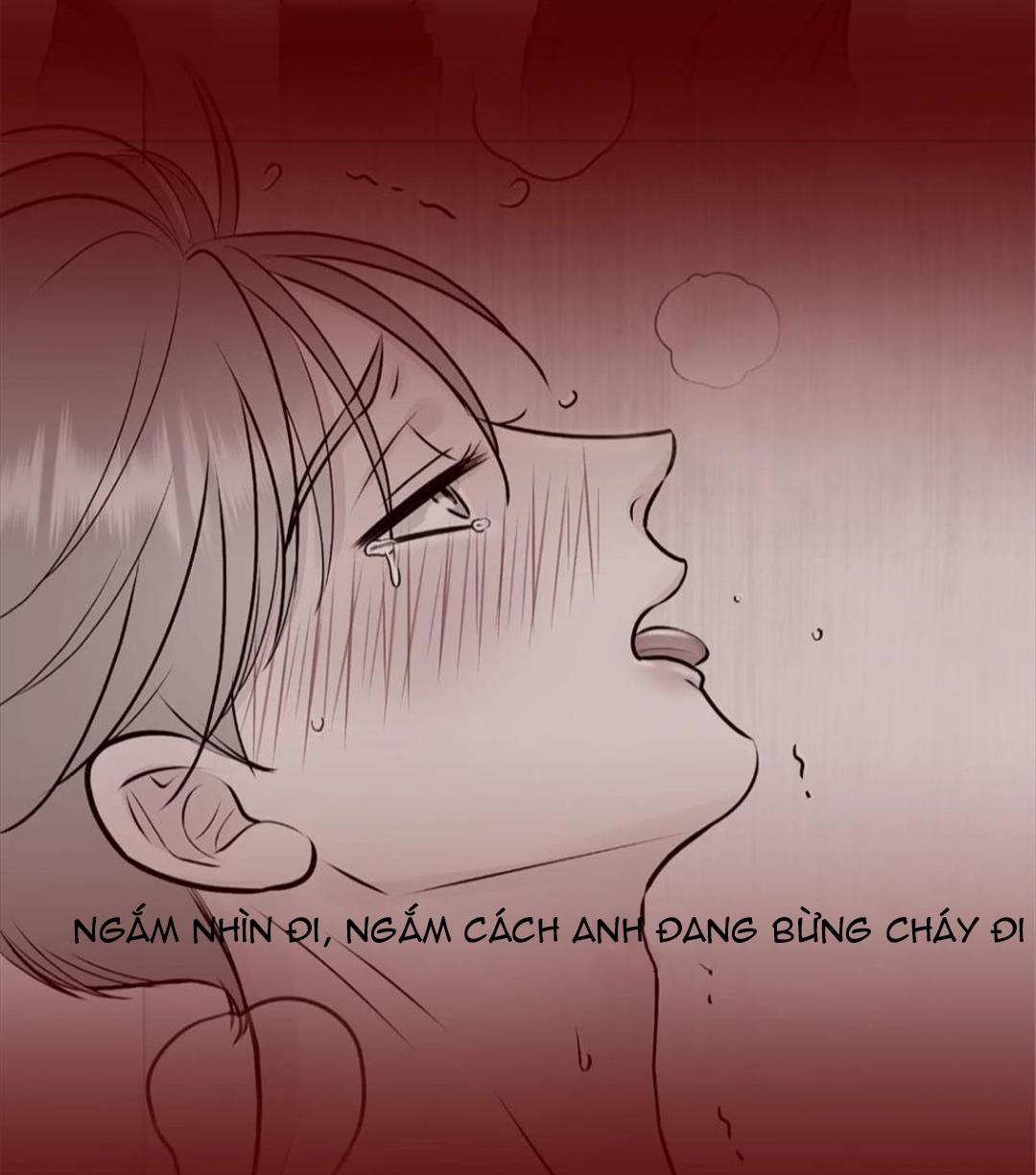 hạnh phúc trọn vẹn chapter 20 121