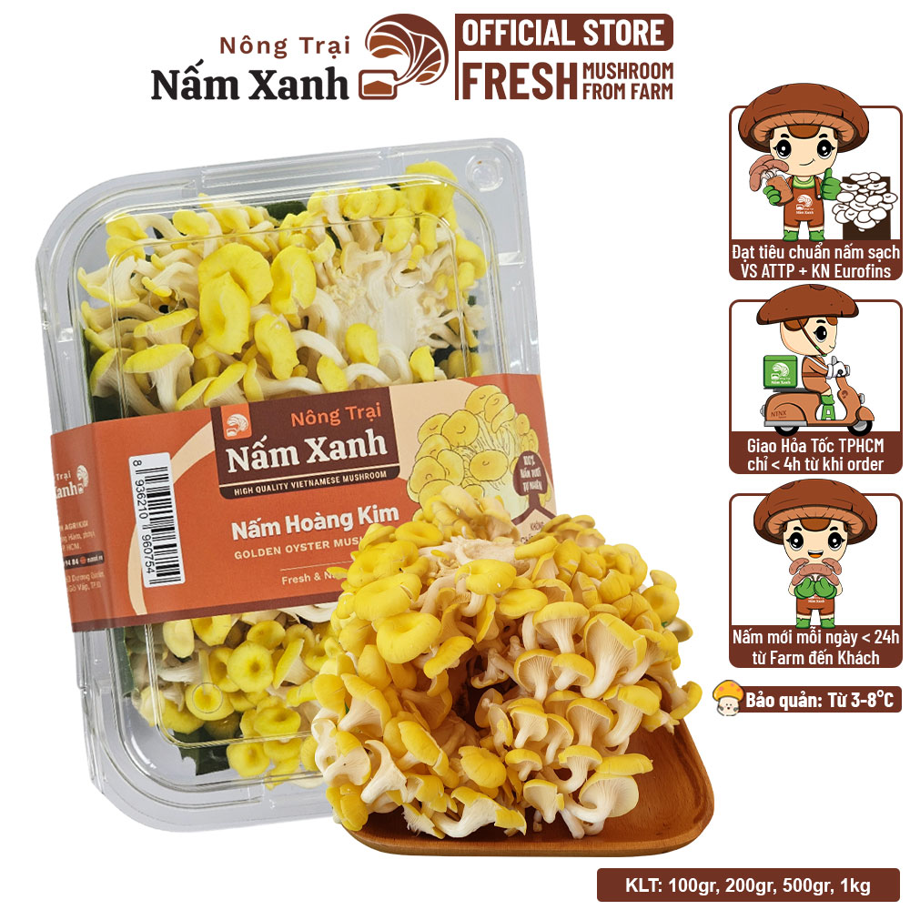 Nấm Hoàng Kim Tươi 1kg - Nông Trại Nấm Xanh