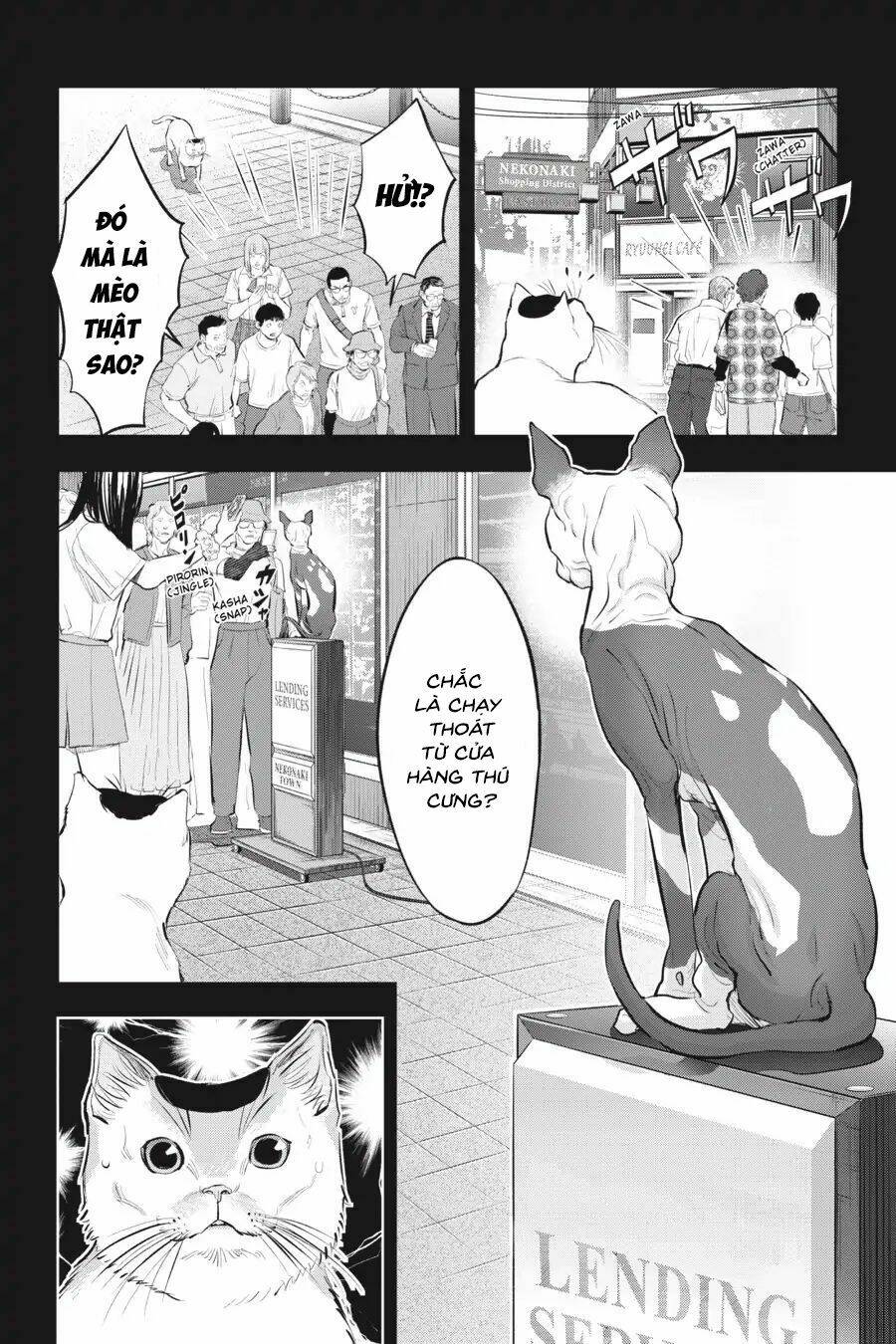 nyankees chapter 11 15