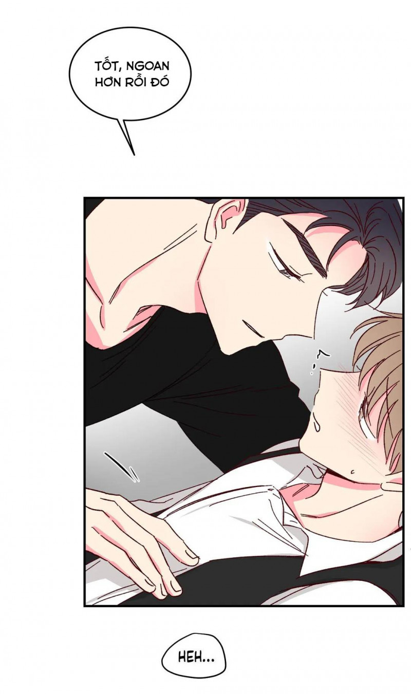 món tráng miệng của sếp tổng chapter 45 29