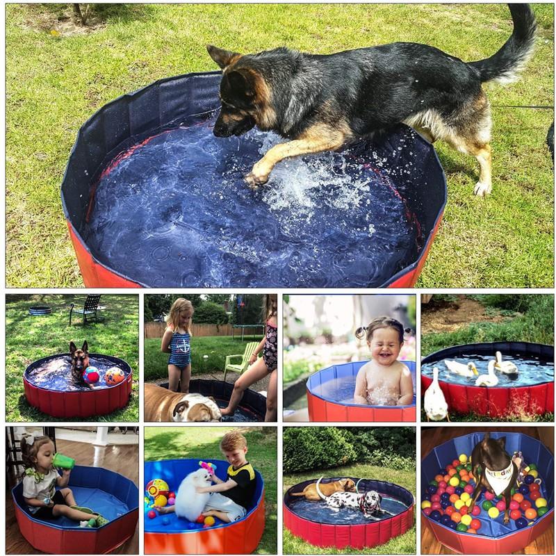 Hồ bơi tắm rửa cho Thú Cưng PORTABLE PAW POOL 80x20cm - AsiaMart