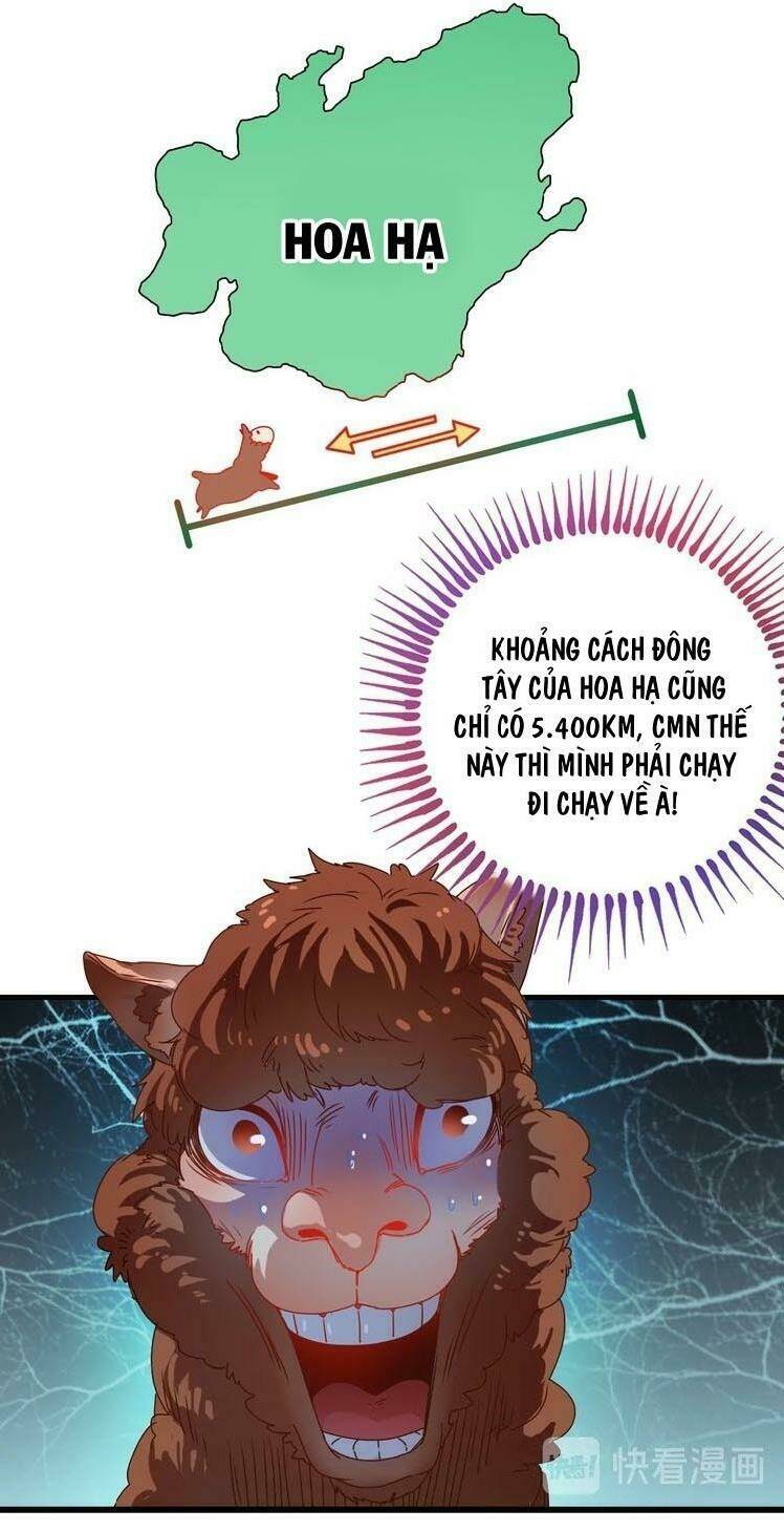 ta có rất nhiều thành tích chapter 7 5