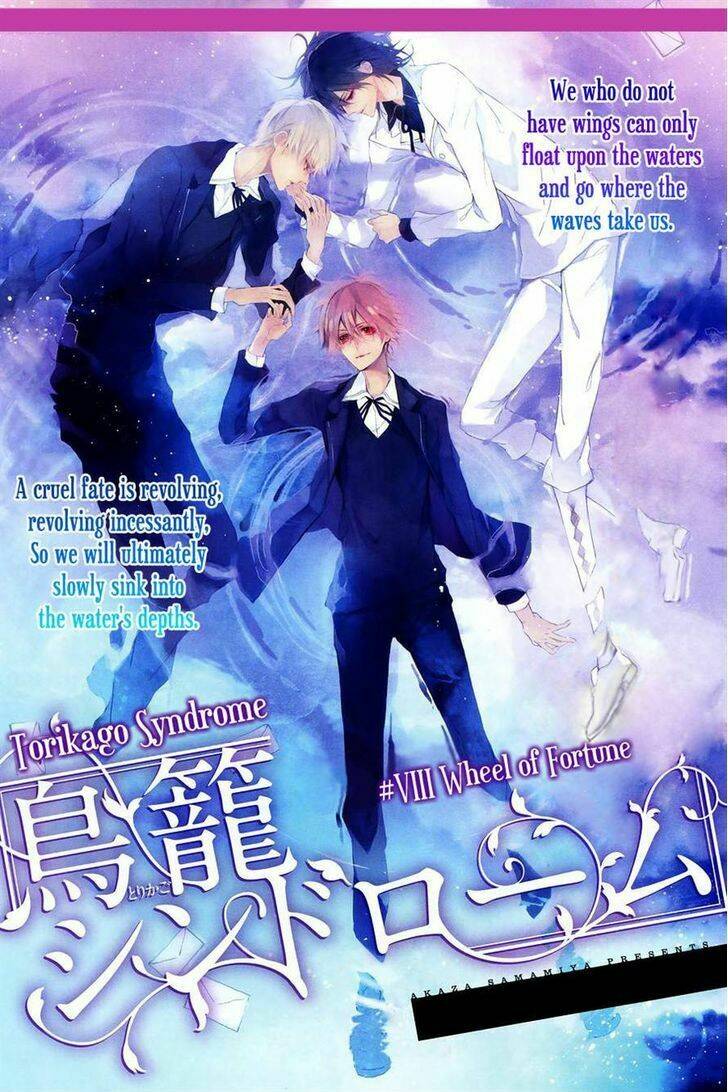 torikago syndrome chapter 8 4