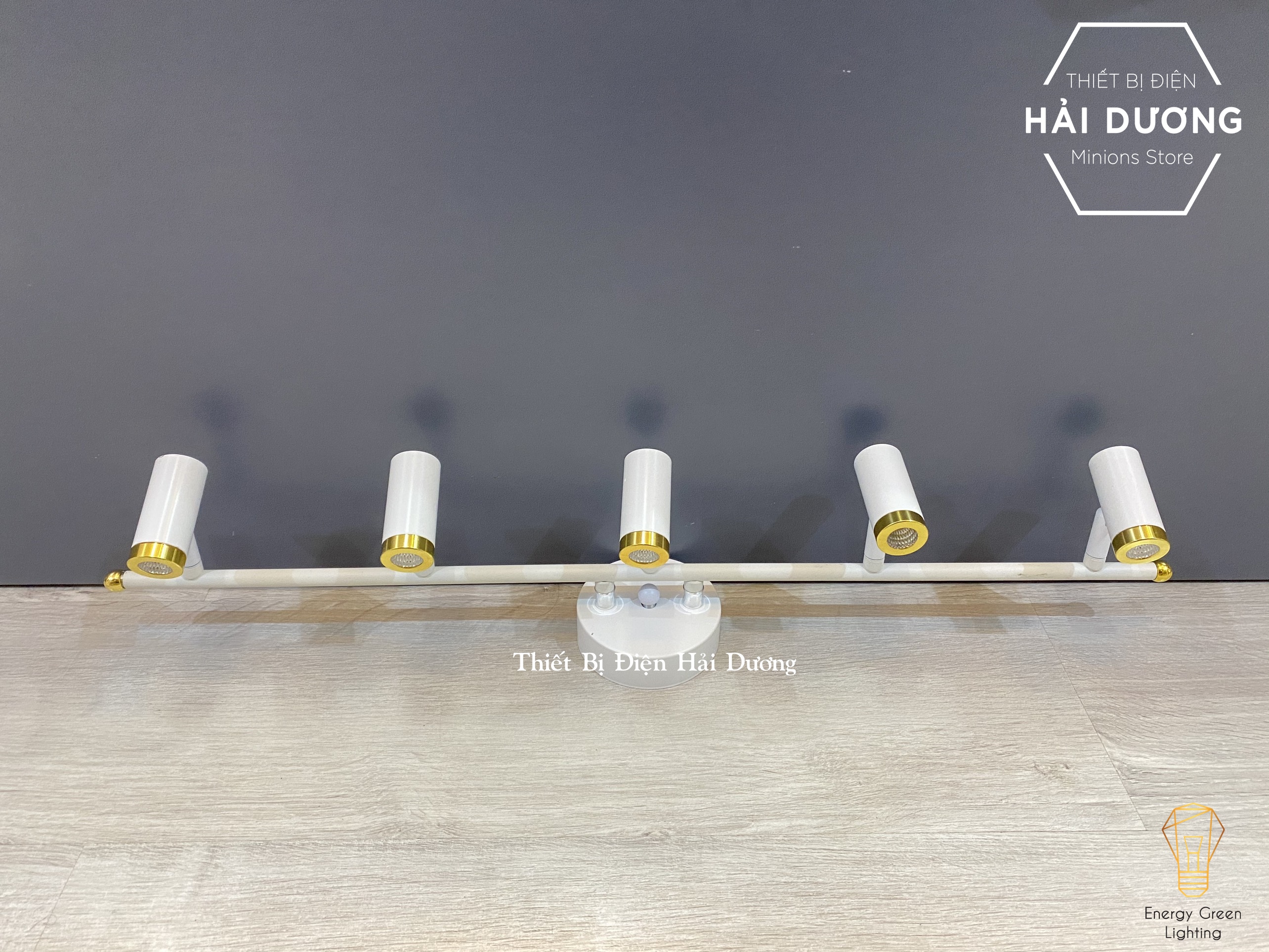 Đèn soi tranh 6028-5, 3268-5 LED Trang Trí Hiện Đại - Ánh Sáng Vàng - Điều Chỉnh Được Góc Chiếu