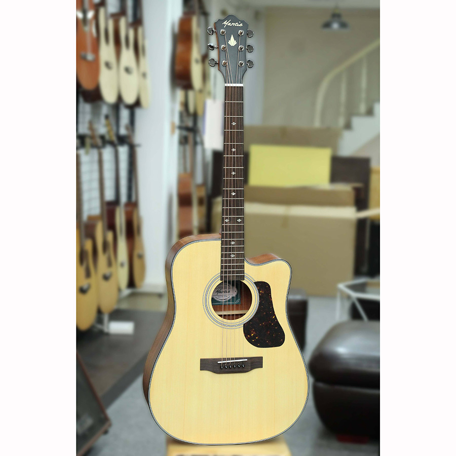 Đàn Guitar Acoustic Mantic AG370C