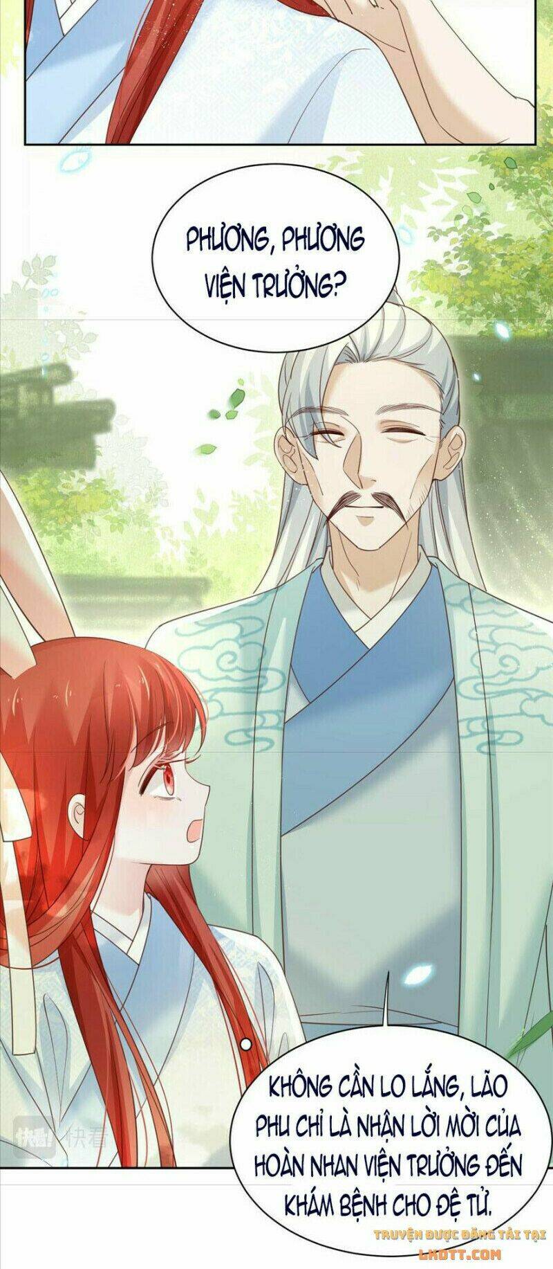 hắc hóa nam chính trực tuyến nuôi thỏ chapter 66 12