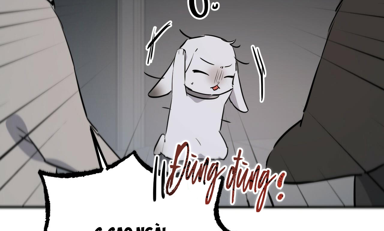 đàn thỏ của habibi chapter 47 20