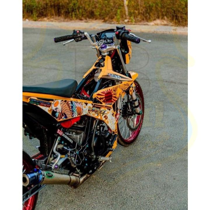 Tem rời dành cho raider fi cá chép vàng