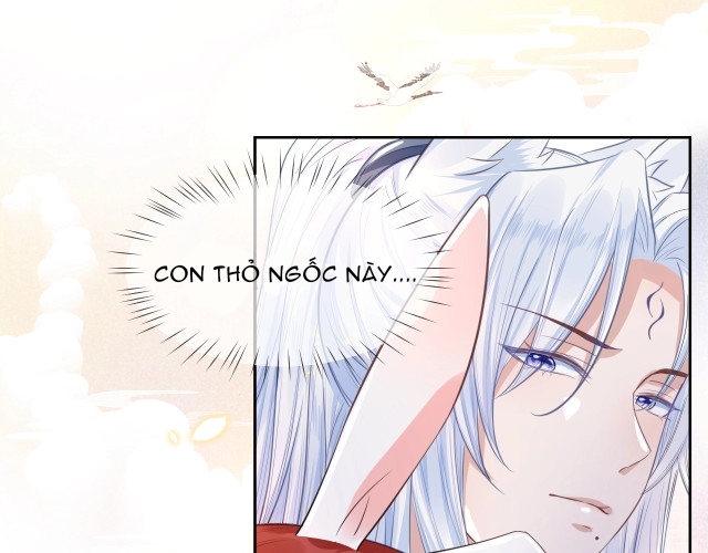 nuôi thỏ? nam chính hắc hóa rồi! chapter 11 41