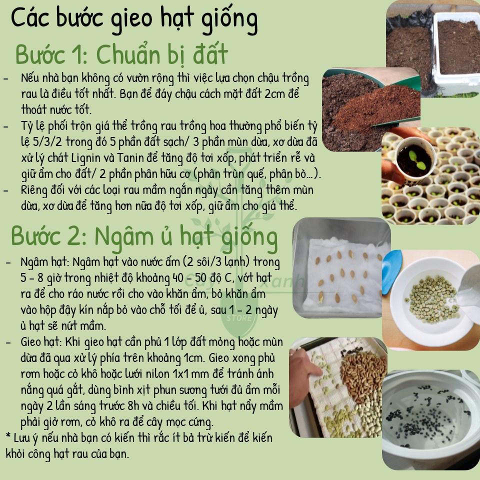 Hạt Giống Ngò Rí Ngò Hạt Lớn - Phú Nông Seeds - Shop Đất sạch, Phân Bón, Hữu Cơ, Xơ Dừa