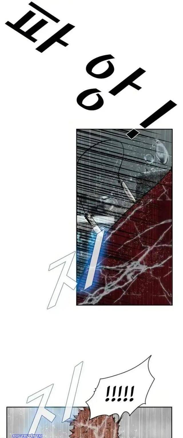 shark - cá mập chapter 110 18